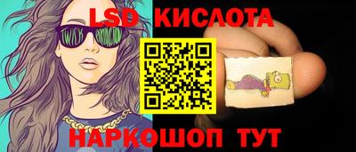 стаф Вязьма