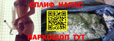 стаф Вязьма