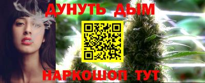 стаф Вязьма