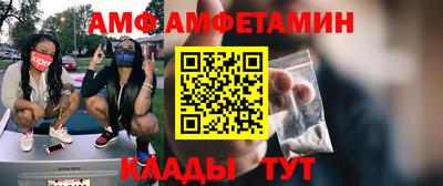 стаф Вязьма