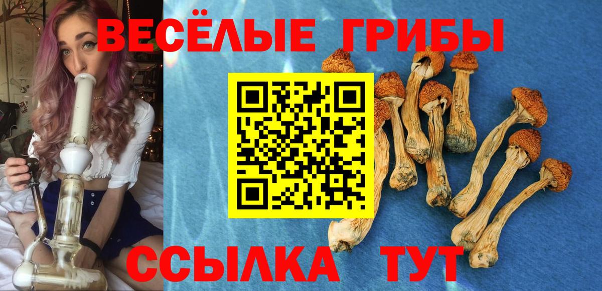 Галлюциногенные грибы Cubensis  Псилоцибиновые грибы Magic Shrooms  наркотики  Вход с VPN  Родники 